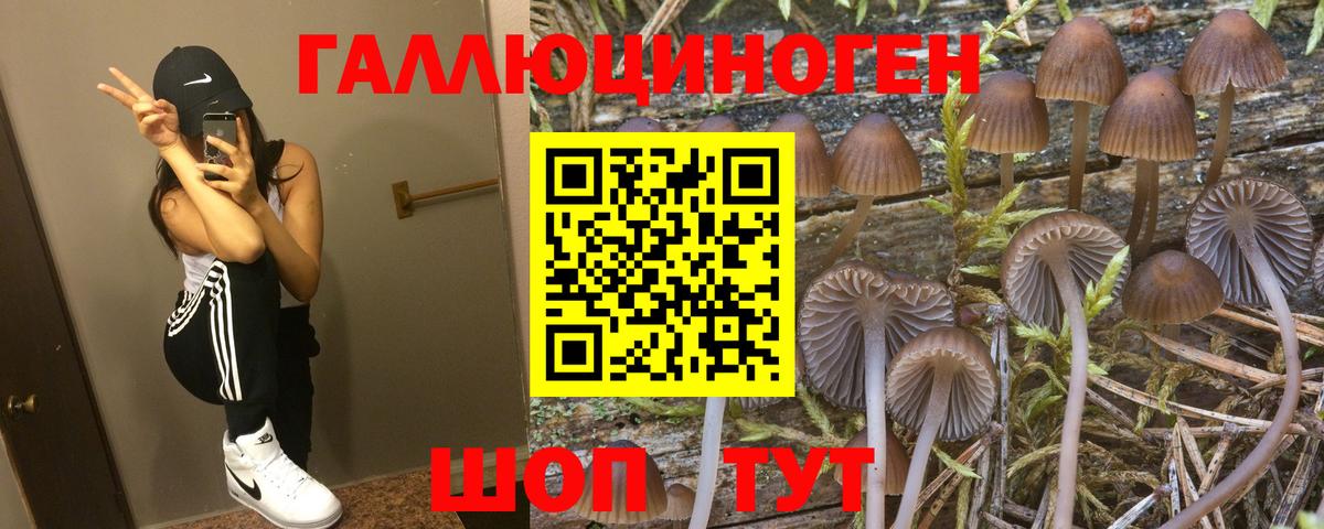 Трёхгорный  Псилоцибиновые грибы Magic Shrooms  Вход с VPN  Псилоцибиновые грибы Magic Shrooms 