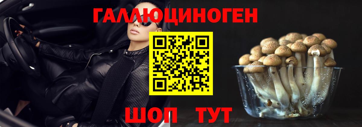 Галлюциногенные грибы мухоморы Трёхгорный