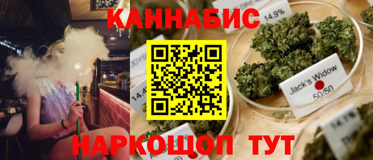 Каннабис планчик Трёхгорный